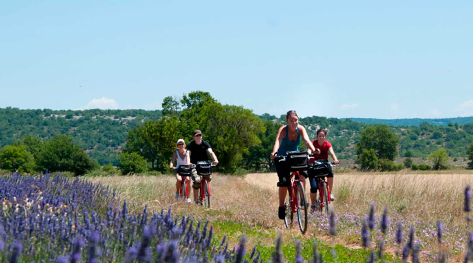 Location de vélo